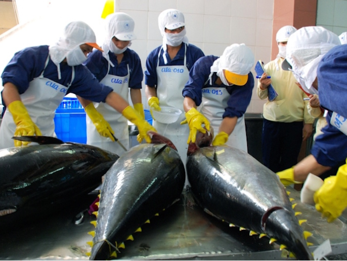 VASEP đề xuất gì để xuất khẩu cá ngừ tận dụng được những lợi thế FTA?