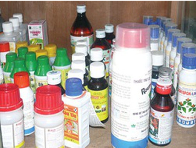 Trung Quốc là thị trường chủ yếu cung cấp thuốc trừ sâu cho Việt Nam