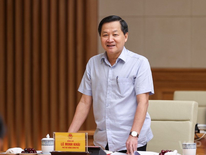 Phó Thủ tướng Chính phủ Lê Minh Khái phát biểu tại cuộc làm việc - Ảnh: VGP