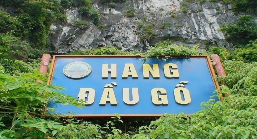 Quảng Ninh: Khám phá vẻ đẹp huyền ảo hang Đầu Gỗ trên Vịnh Hạ Long