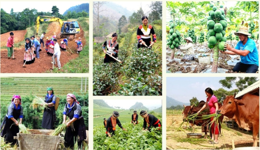Hỗ trợ người nghèo phát triển sản xuất nông nghiệp