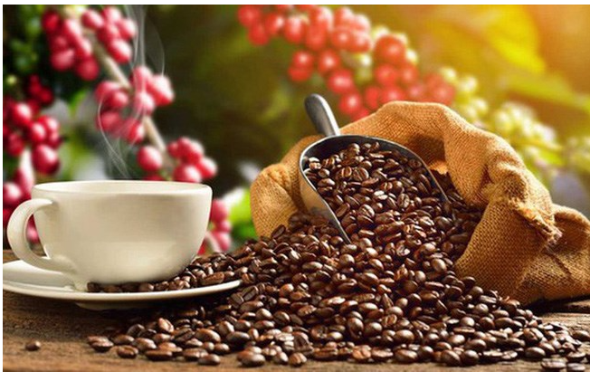 Xuất khẩu cà phê của Việt Nam tăng gần 50% về trị giá