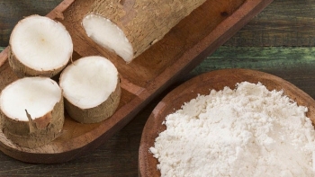 Việt Nam đứng vị trí thứ 2 cung cấp tinh bột sắn cho Trung Quốc