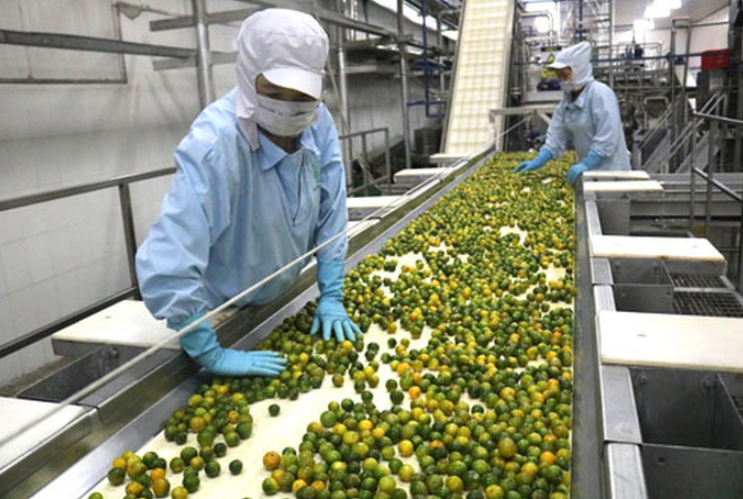Công ty TNHH MTV Chế biến nông sản Tiến Thịnh (Hậu Giang) đầu tư máy móc, công nghệ sản xuất nước ép trái cây xuất khẩu