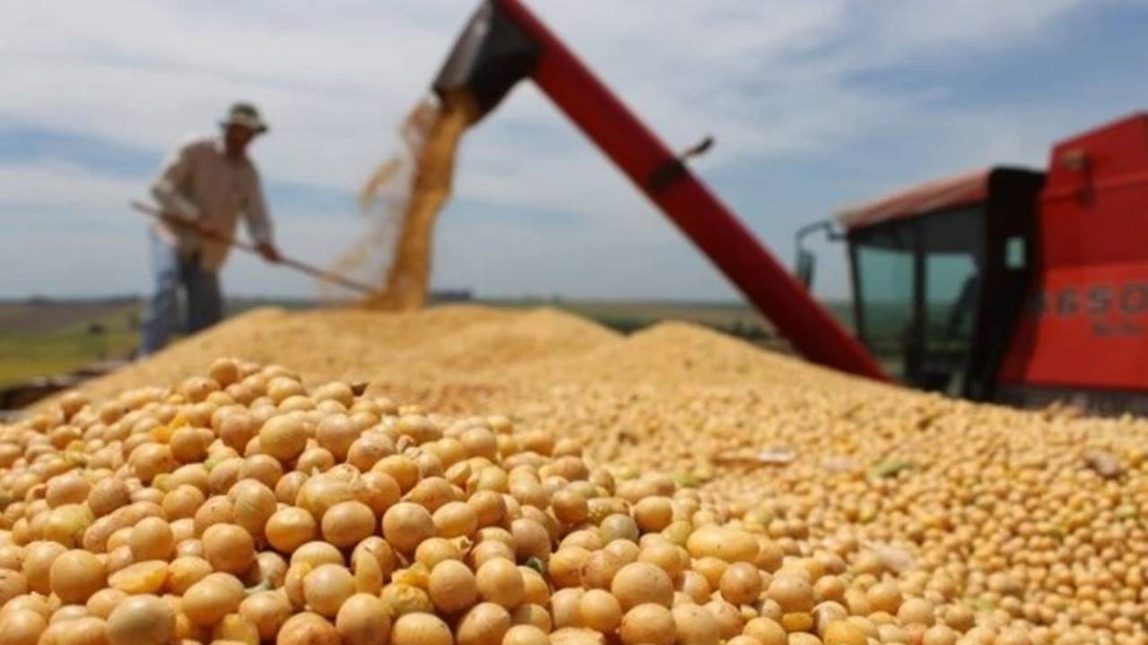 Kim ngạch nhập khẩu đậu tương 6 tháng tăng 15,5%