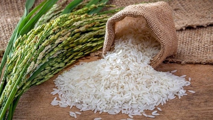 Giá lúa gạo hôm nay 25/7/2022: Giá gạo 25% tấm giảm 5 USD/tấn