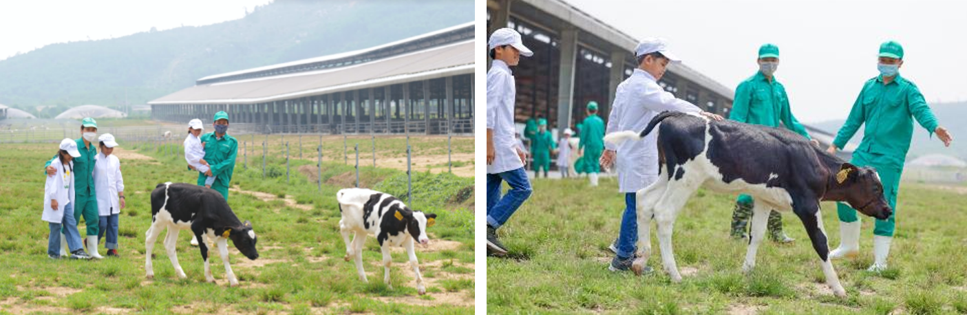 Vinamilk và Quỹ sữa Vươn cao Việt Nam tổ chức nhiều hoạt động đồng hành nhân dịp 15 thành lập