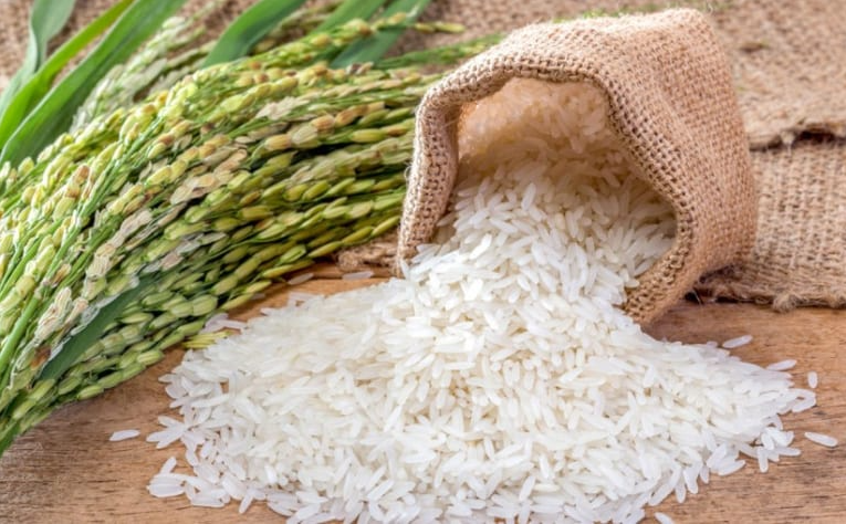 Giá lúa gạo hôm nay 29/7/2022: Giá lúa tiếp tục giảm 200 - 300 đồng/kg