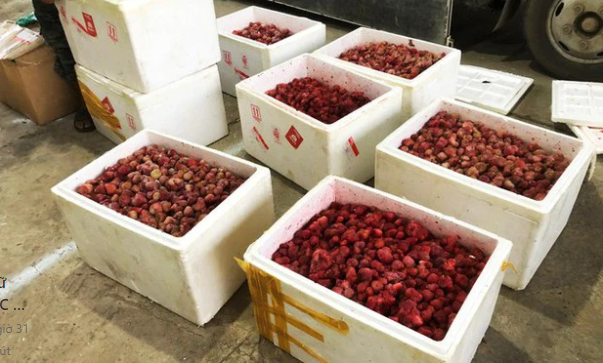 Lâm Đồng: Phát hiện hơn 300 kg dâu tây 
