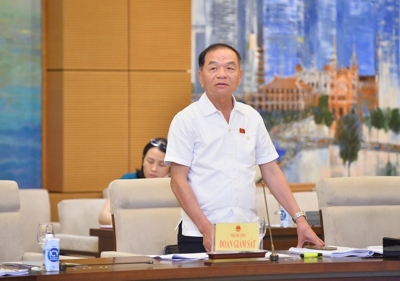 Đại biểu Lê Thanh Vân, Ủy viên Thường trực Ủy ban Tài chính, Ngân sách của Quốc hội phát biểu ý kiến tại buổi giám sát.