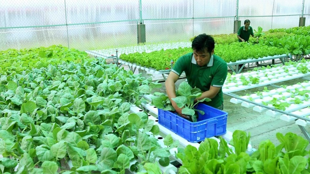 Phê duyệt Chương trình khoa học và công nghệ phục vụ xây dựng nông thôn mới