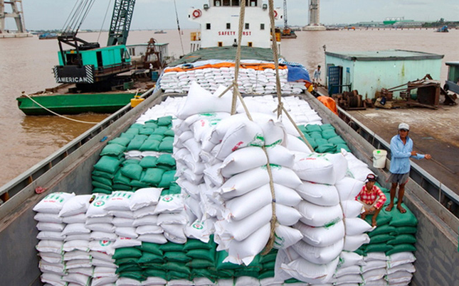 Xuất khẩu gạo sang thị trường Hoa Kỳ tăng mạnh