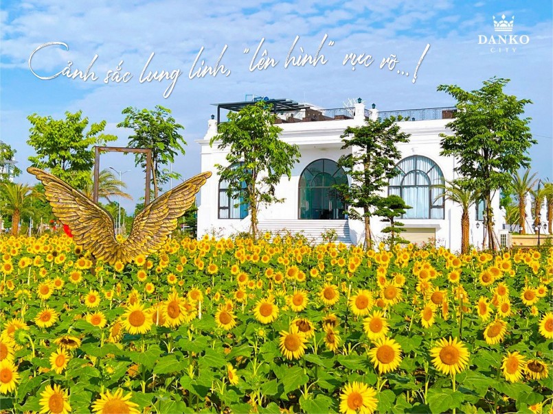 Giới trẻ