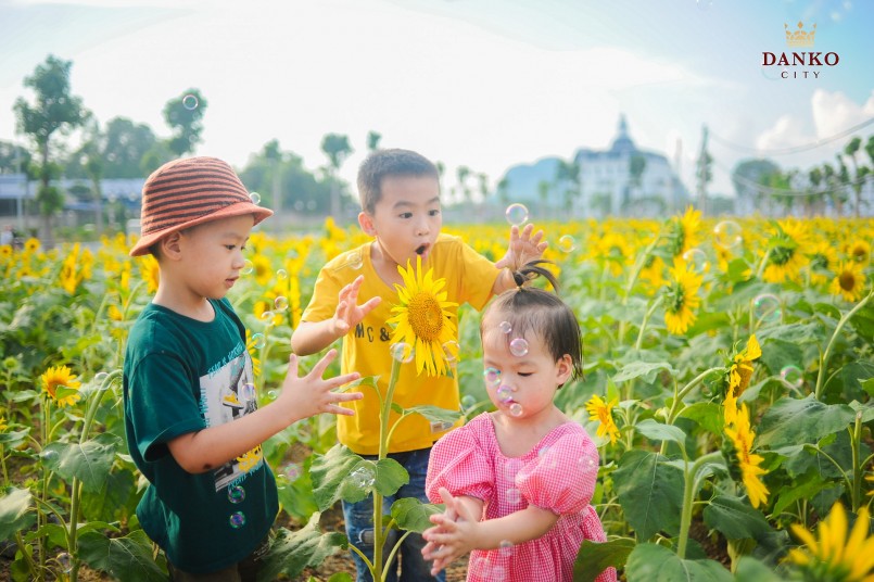 Các em nhỏ rạng rỡ vui đùa tại vườn hoa hướng dương đang đà nở rộ