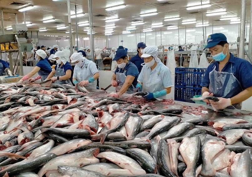 Giá trị xuất khẩu cá tra đột phá nhờ giá tăng mạnh