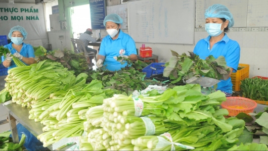 Xuất khẩu rau quả tăng trưởng tháng thứ 2 liên tiếp
