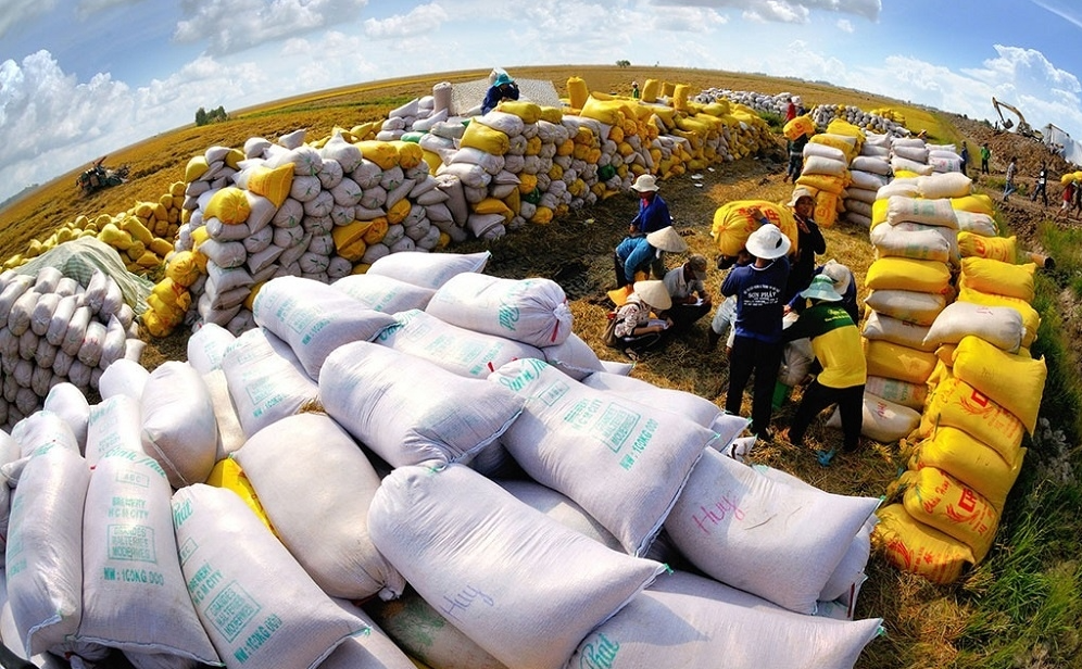 Giá lúa gạo hôm nay 8/8/2022: Giá gạo nguyên liệu tăng 100 đồng/kg