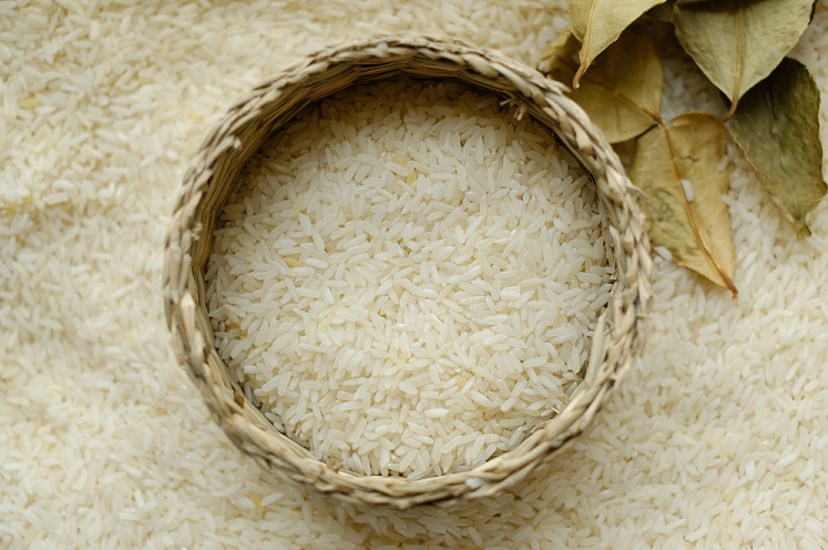 Giá lúa gạo hôm nay 18/8/2022: Giá gạo giảm 50 – 150 đồng/kg