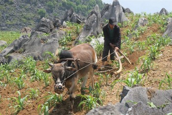 Tạo thuận lợi trong thực hiện, thụ hưởng chính sách dân tộc