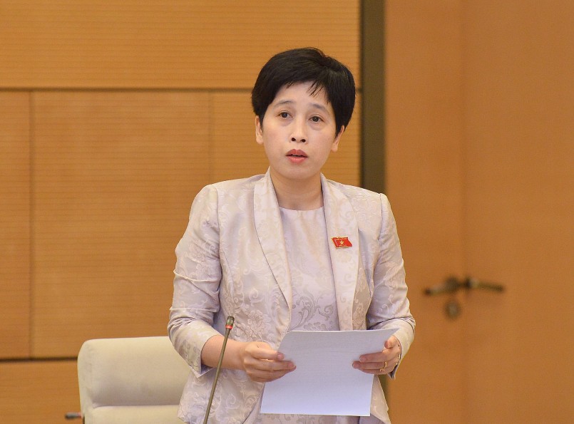 Phó Chủ nhiệm Ủy ban Tài chính, Ngân sách của Quốc hội Nguyễn Thị Phú Hà, Tổ trưởng Tổ công tác (Đoàn giám sát)
