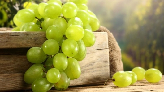 Những công dụng từ quả nho ít người biết