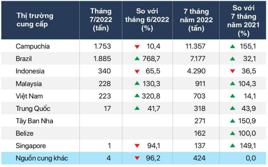 Việt Nam nhập khẩu hồ tiêu từ các thị trường chính trong tháng 7 và 7 tháng đầu năm 2022 (Nguồn: VPA).