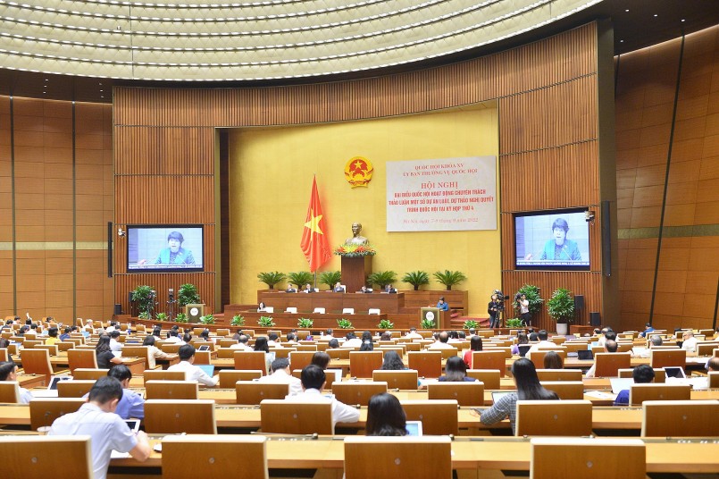 Chủ nhiệm Ủy ban Xã hội Nguyễn Thúy Anh trình bày Báo cáo Một số vấn đề lớn về tiếp thu, giải trình và chỉnh lý dự thảo Luật Phòng, chống bạo lực gia đình (sửa đổi)