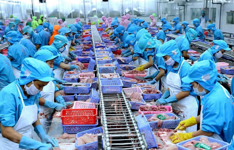 Ở vị trí thứ ba là Việt Nam, nhờ vị thế là nhà sản xuất và xuất khẩu cá tra nuôi hàng đầu thế giới