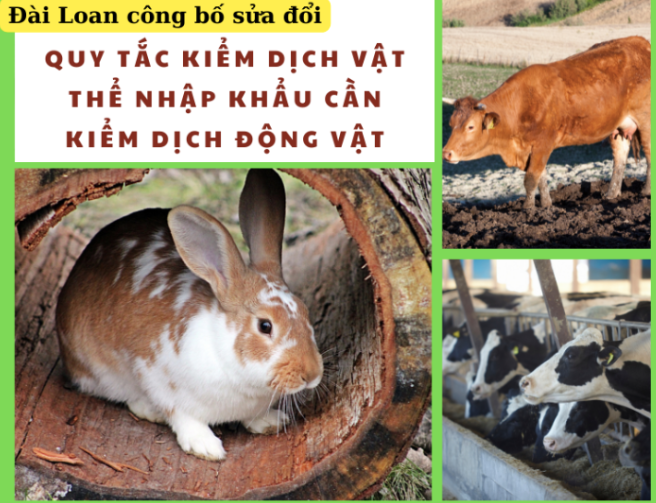 Đài Loan sửa đổi Quy tắc kiểm dịch vật thể nhập khẩu cần kiểm dịch động vật