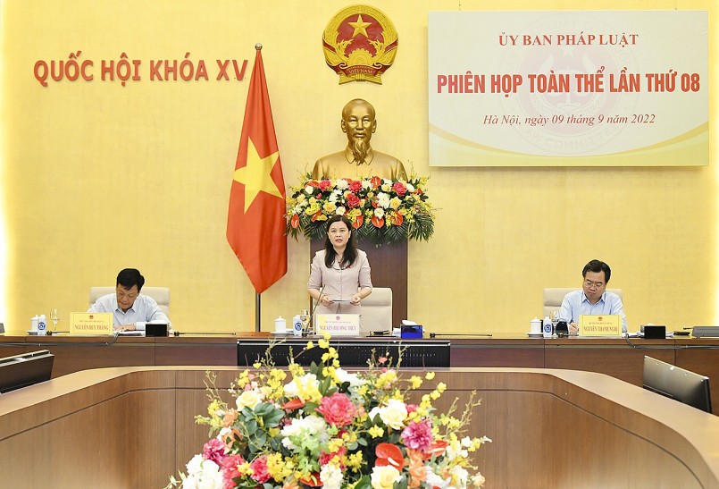 Phó Chủ nhiệm Ủy ban Pháp luật Nguyễn Phương Thủy