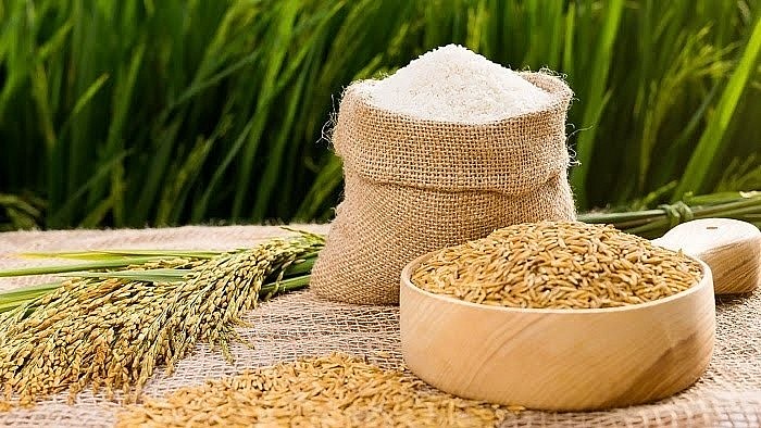 Giá lúa gạo hôm nay 10/9: Giá đi ngang phiên cuối tuần