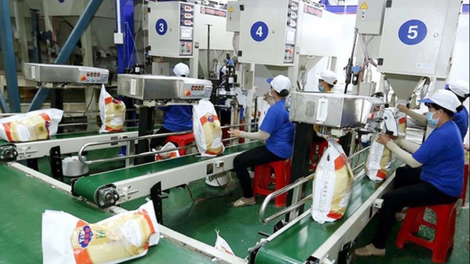 Việt Nam đã xuất khẩu trên 4,79 triệu tấn gạo