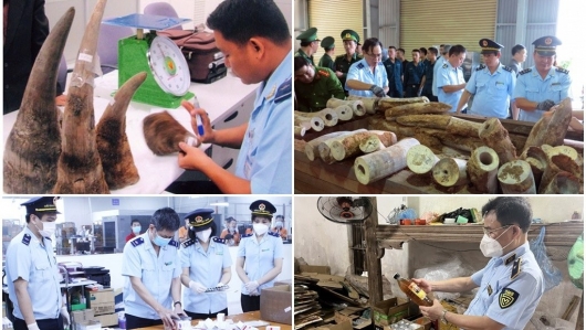 Tăng cường chống buôn lậu, gian lận thương mại và hàng giả