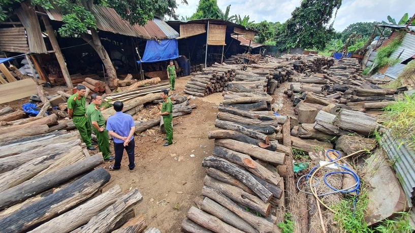 Đắk Lắk: Phát hiện xưởng cưa chứa gỗ lậu quý hiếm