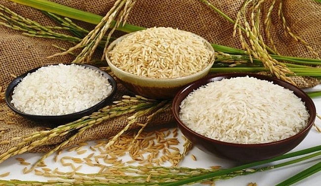 Giá lúa gạo hôm nay 22/9/2022: Giá gạo liên tục tăng