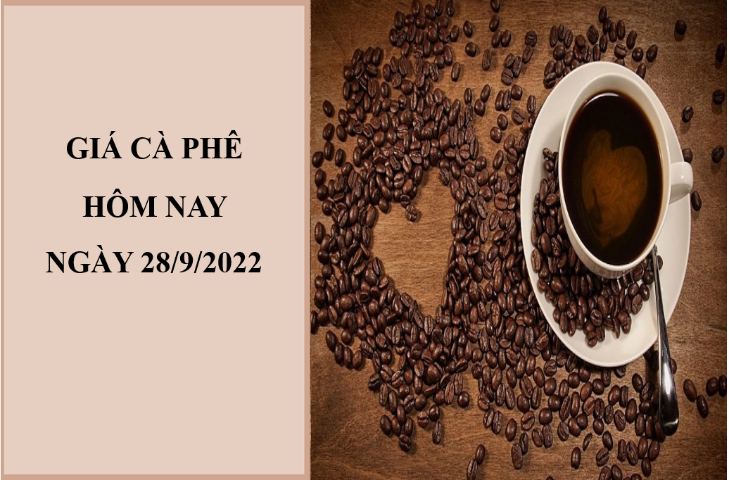 Giá cà phê hôm nay 28/9/2022: Đồng loạt giảm nhẹ tại ba miền