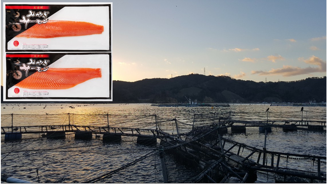Bảo hộ chỉ dẫn địa lý “MIYAGI SALMON” cho sản phẩm cá hồi