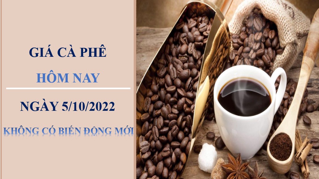 Giá cà phê hôm nay 5/10/2022: Không có biến động mới