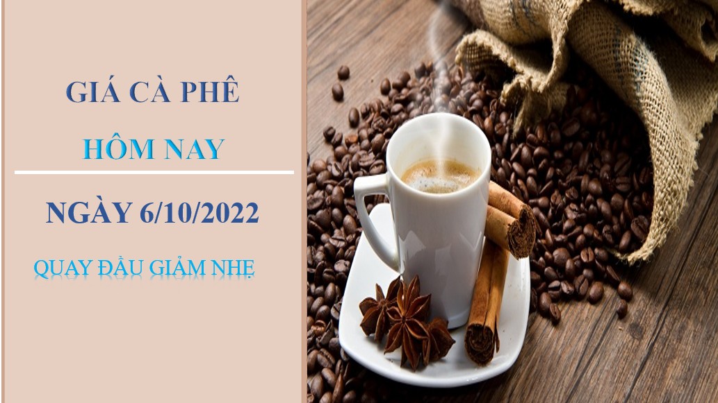 Giá cà phê hôm nay 6/10/2022: Quay đầu giảm nhẹ