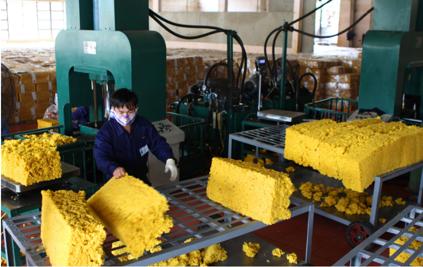 Việt Nam tiếp tục là thị trường cung cấp cao su lớn thứ hai cho Trung Quốc