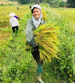 Thương hiệu nông sản - Bài toán gia tăng lợi nhuận trên đồng ruộng