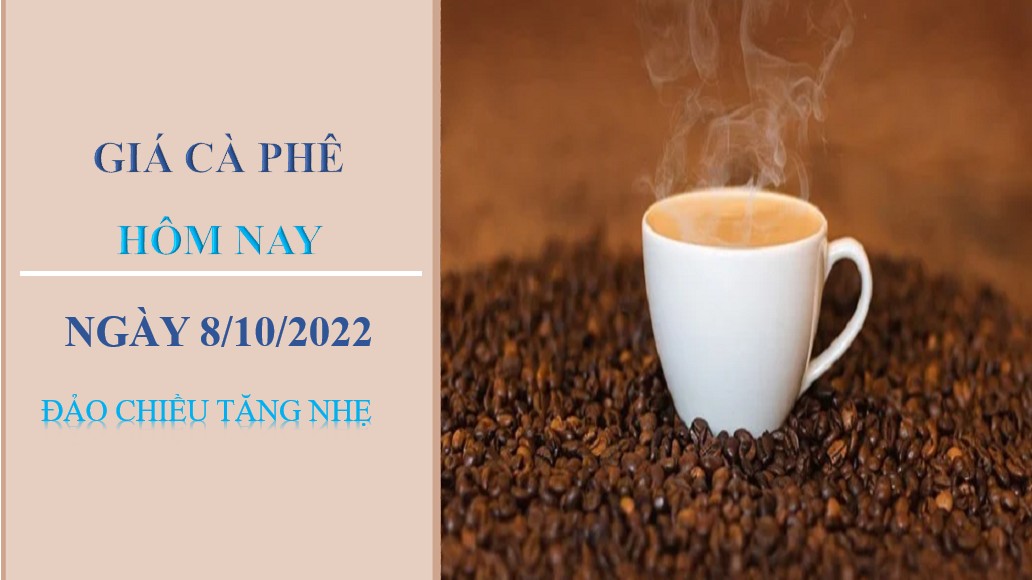 Giá cà phê hôm nay 8/10/2022: Đảo chiều tăng nhẹ