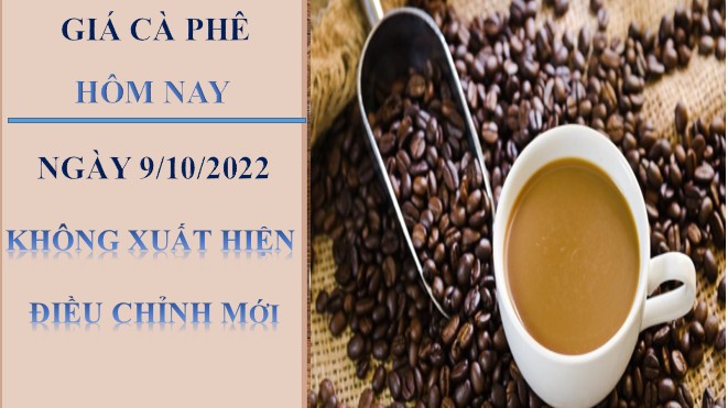 Giá cà phê hôm nay 9/10/2022: Không xuất hiện điều chỉnh mới