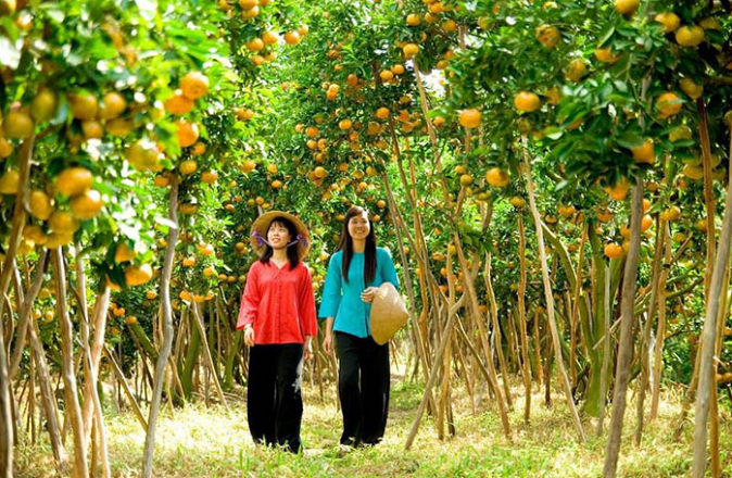 Du lịch miền tây tại các vườn trái cây nổi tiếng để tự tay hái và thưởng thức trái ngon ngay tại chỗ