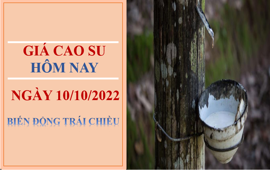 Giá cao su hôm 10/10/2022: Biến động trái chiều trên thị trường châu Á