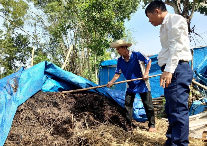 Phụ phẩm nông nghiệp được người dân Quảng Nam ủ làm phân vi sinh.