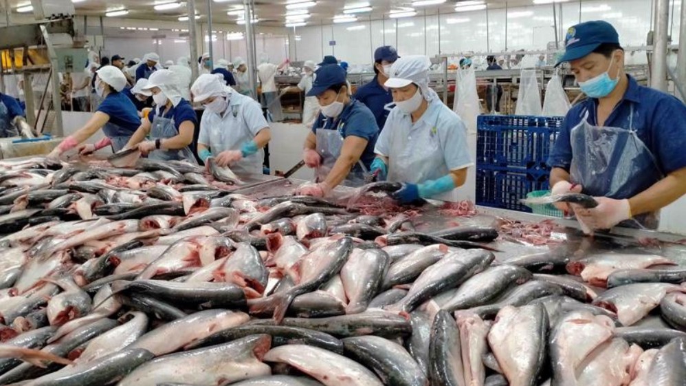 Xuất khẩu cá tra sang ASEAN tăng đột biến trong tháng 9