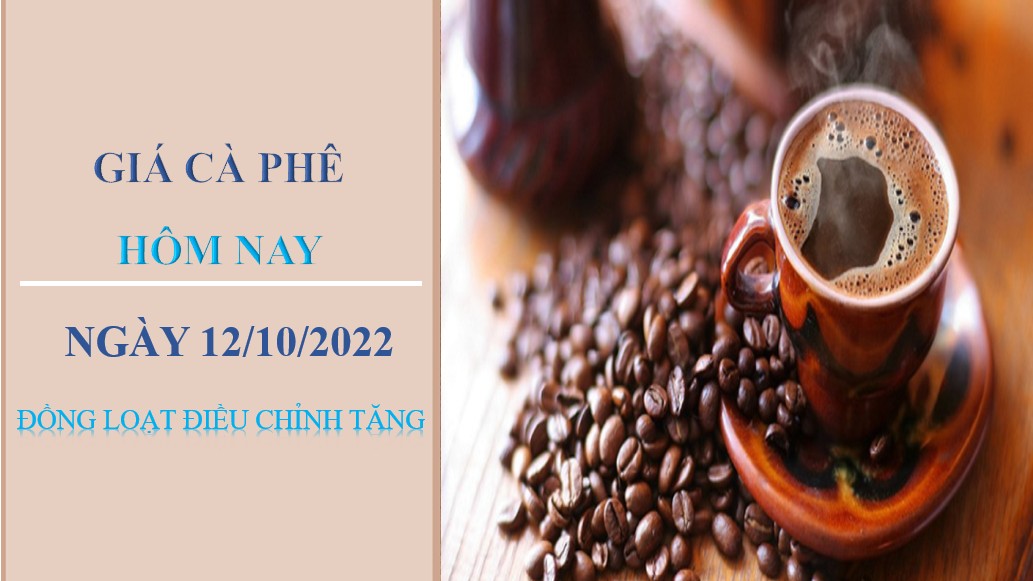 Giá cà phê hôm nay 12/10/2022: Đồng loạt điều chỉnh tăng