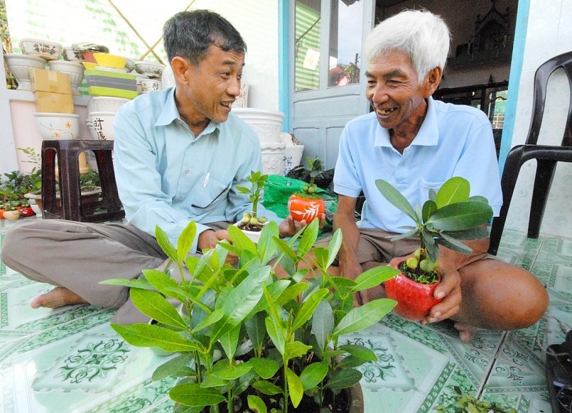 Người dân huyện Chợ Lạch đang sẵn sàng chuẩn bị cho vụ hoa Tết.