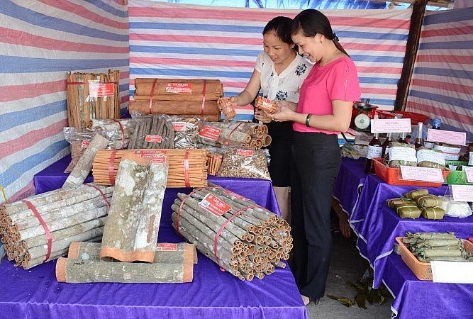 Gian hàng trưng bày các sản phẩm quế Văn Yên.